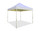 California Palm Canopy Frame and Top (Size:10'x10')