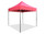 Royal Palm Canopy Frame and Flame Retardant Top (Size:8'x8') Royal Palm Canopy Frame and Flame Retardant Top (Size:8'x8')