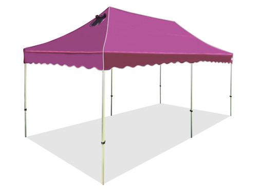 Queen Palm Four Seasons Canopy Frame and Top (Size:10'x20')