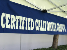 Banner  Certified California Grown Banner - Special Custom Order Call for Price