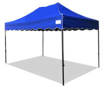California King Palm Canopy Frame and Flame Retardant Top (Size:8'x12')