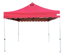 Queen Palm Four Seasons Canopy Frame and Flame Retardant Top (Size:10'x10')