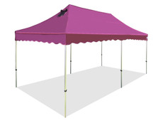 Queen Palm Four Seasons Canopy Frame and Flame Retardant Top (Size:10'x20')