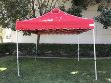 California Palm Four Seasons Canopy Frame and Flame Retardant Top (Size:10'x10')