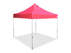 Princess Palm Four Seasons Canopy Frame and Top (Size:10'x10')