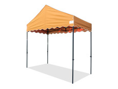 Queen Palm Canopy Frame and Top (Size:5'x10')