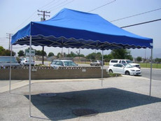 Royal Palm Canopy Frame and Top (Size:10'x15')