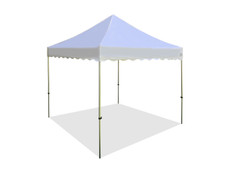 Princess Palm Canopy Frame and Flame Retardant Top (Size:10'x10')