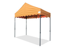 Queen Palm Canopy Frame and Flame Retardant Top (Size:5'x10')