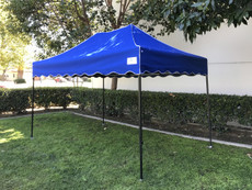 Royal Palm Canopy Frame and Flame Retardant Top (Size:8'x12')