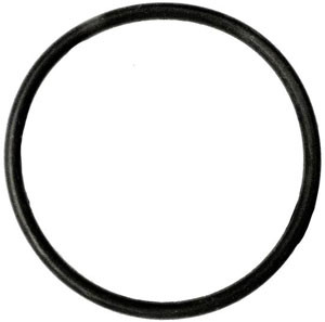 Polaris® 9-100-5132 Feed Pipe Assembly O-Ring