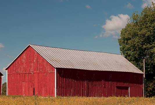 barn in a field