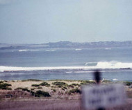 The Point