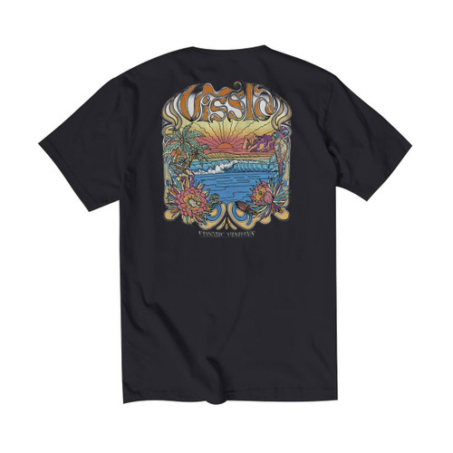 Vissla Visuals Organic Tee Mens in Black