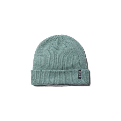 Stance Icon 2 Beanie in Teal