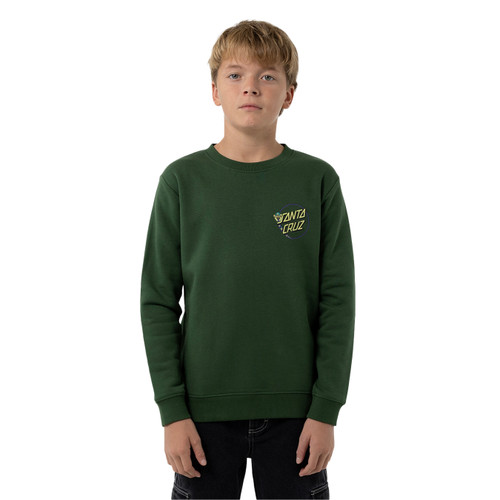 Santa Cruz Winkowski Dope Planet 2 Dot Sweater Boys in Dark Green