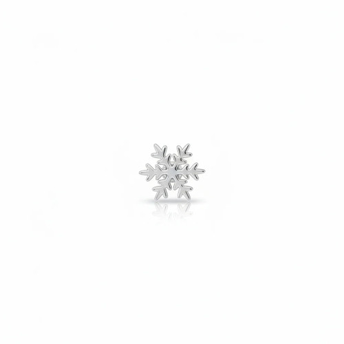 Snowflake Life Powder Stud in Silver