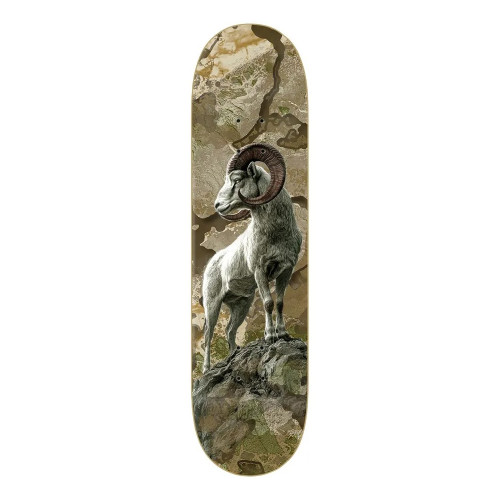 Zero Adam Arunski Realtree Bighorn Sheep 8.5 Skateboard Deck