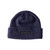 Quiksilver The Local Beanie Boys in Crown Blue