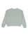 Santa Cruz Stack Strip Block Front Relaxed Crew Girls in Mist