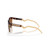 Oakley HSTN Sunglasses in Dark Amber Light Curry Prizm Tungsten
