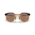 Oakley HSTN Sunglasses in Dark Amber Light Curry Prizm Tungsten