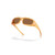 Oakley De Soto Sunglasses in Matte Transparent Light Curry Prizm Bronze