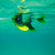 FCS II Mark Richards Twin+1 PC M-L Fin Set in Cyber Lime Black