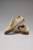 Globe Mahalo Shoes Mens in Sand Crepe