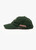 Afends Real Life 6 Panel Cap in Pine