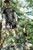 Brixton Journey Active Short Mens in Black Camo