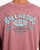 Billabong Heritage Arch Wave Wash Premium Tee Mens in Red Dahlia