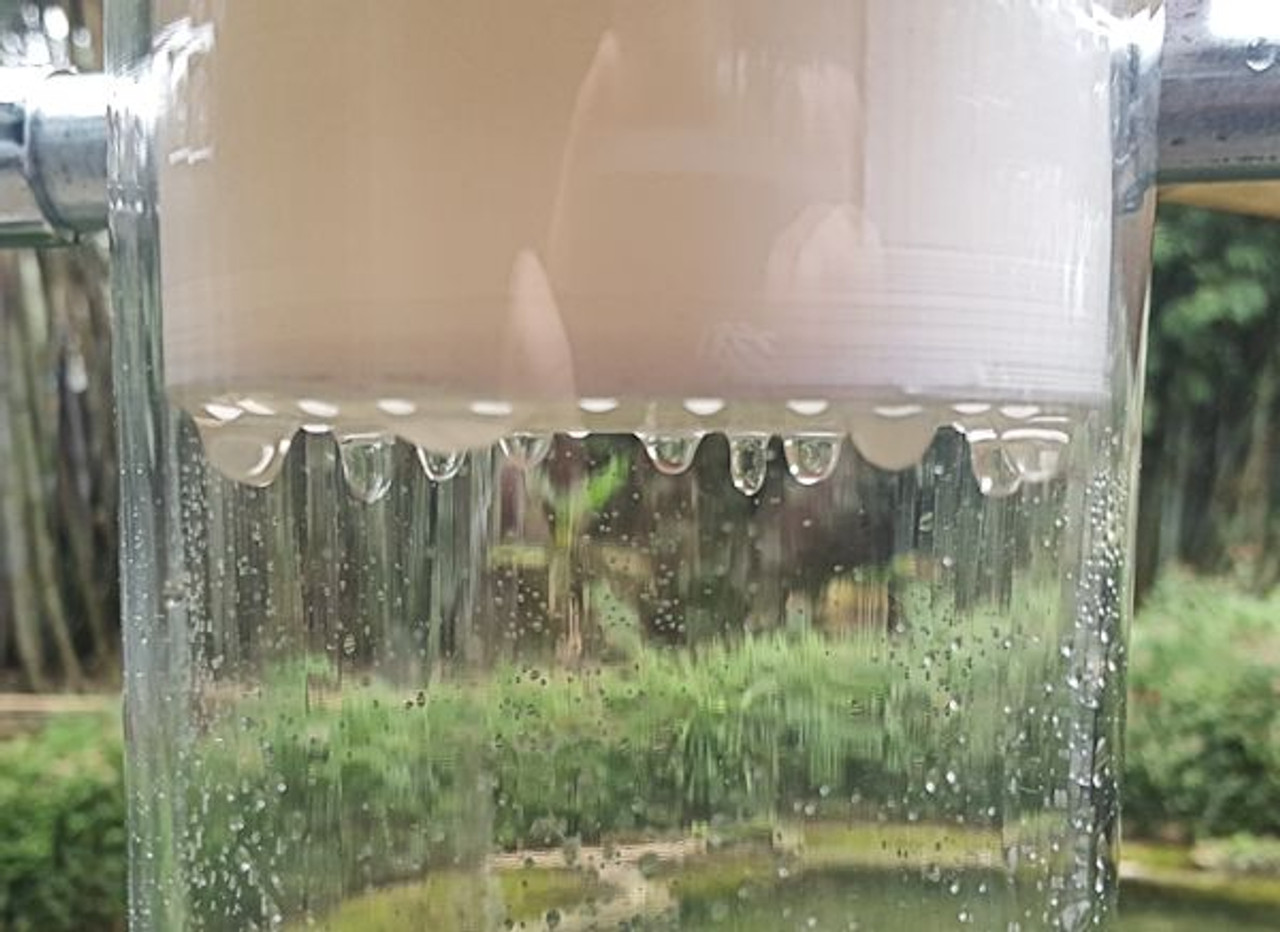 Quick Mount Cap Only No Base Green Life Aquaponics