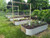 17" Deep Raised Garden Beds 4'x8'