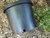 15 gallon large drain holes potato bucket