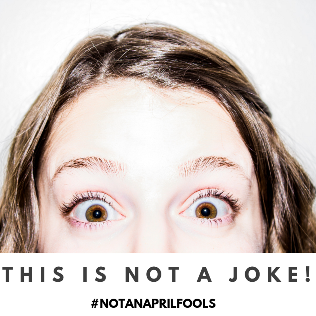 This is not a joke! This is not a joke!