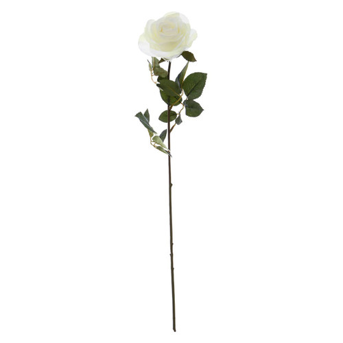 White Rose Stem
