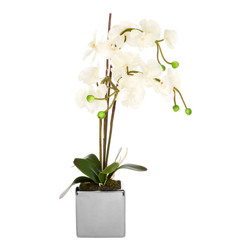 White Orchid Plant with Silver Ceramic Pot