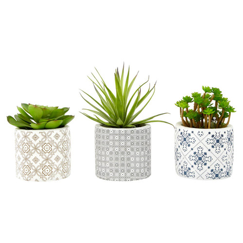 Fiori Set of 3 Succulents in Henna Ceramic Pots