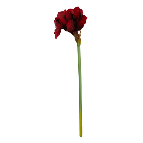Fiori Amarylilis Stem Burgundy Flower - 72cm