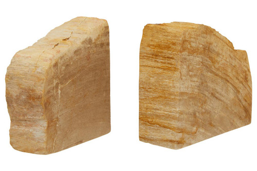 Relic Set of 2 Petrified Wood Natural Bookends