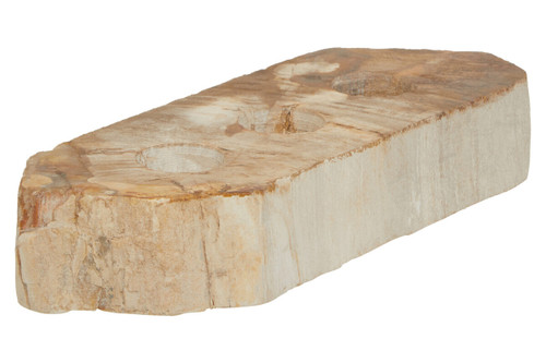 Relic Petrified Wood 3 Tealight Holder