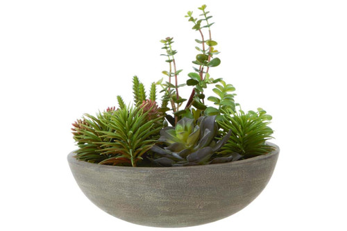 Fiori Mixed Succulent In Stone Effect Pot
