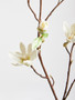Fiori Tall Cream Magnolia Flower Spray Stem