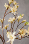 Fiori Tall Cream Magnolia Flower Spray Stem