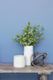 Fiori Green Eucalyptus Spray Stem