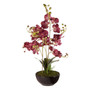 Purple Orchid Plant with Black Ceramic Pot