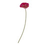 Fiori Poppy Stem Fuchsia Flower  - 64cm