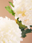 Fiori White Chrysanthemum Flower Stem