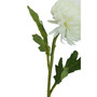 Fiori Chrysanthemum Stem White Flower - 84cm